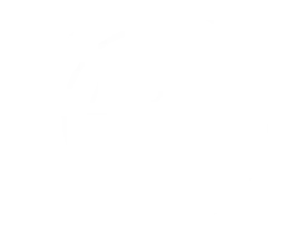 AICPA - STAAT