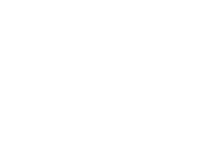 SAP Silver Partner - SYAAT